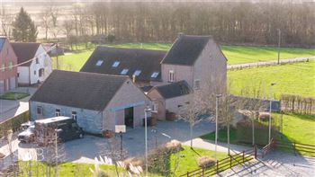 Belle ferme rurale avec écuries, manège extérieur et prairies à WILLEBROEK (Belgique | Anvers)