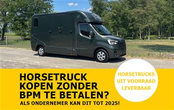 Immédiatement disponible | 2 chevaux | Camions à chevaux De Boer | RM1385