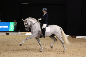 pre-paard
